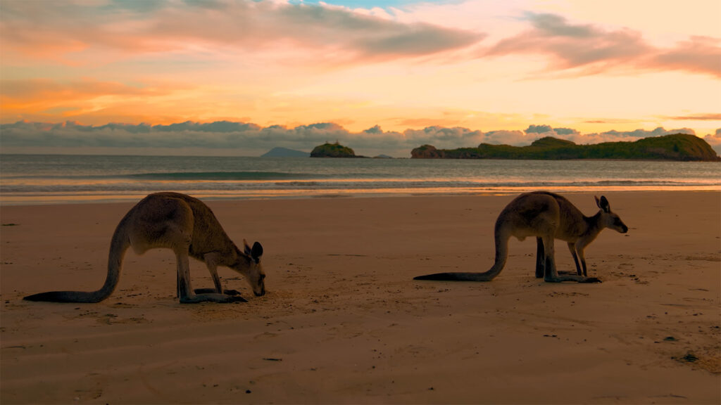 Cape Hillsborough - Australia's Best Destinations