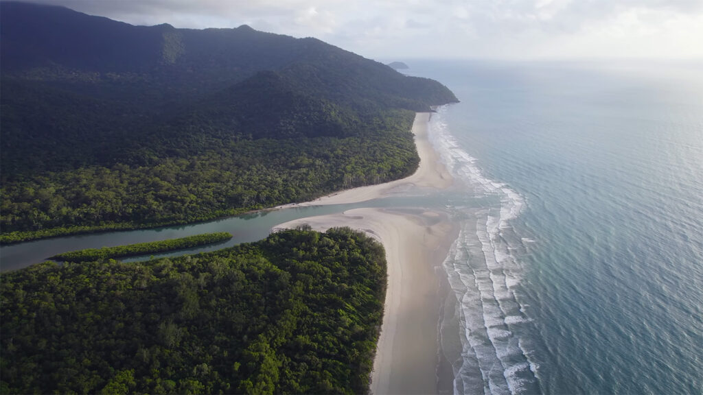 Daintree Rainforest - Australia's Best Destinations