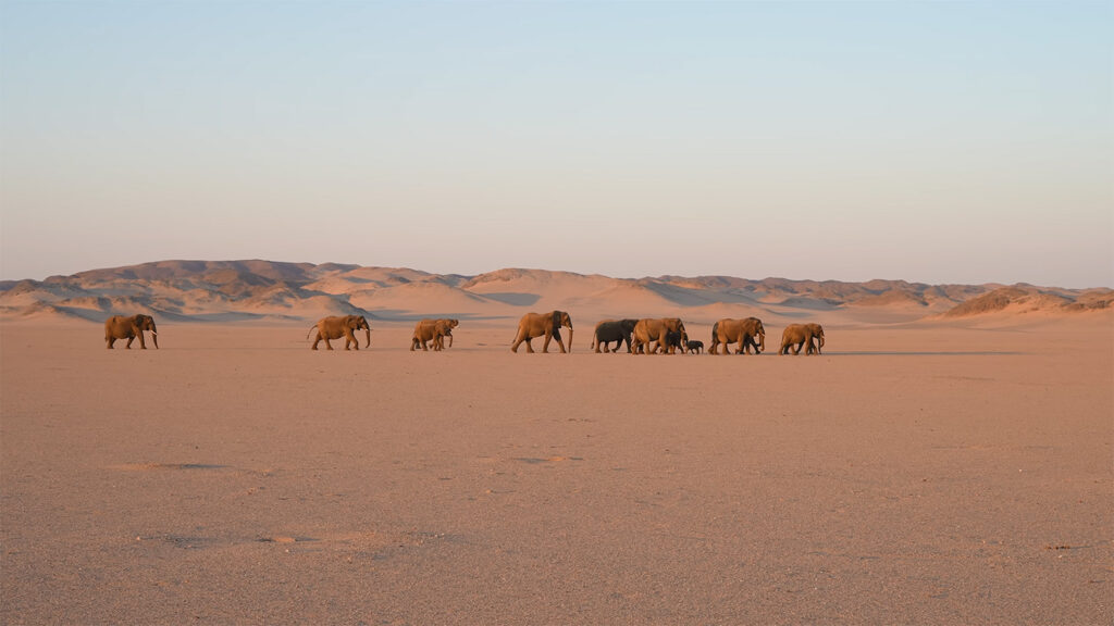 Damaraland - Best Places to Visit in Namibia