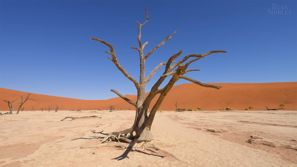 Deadvlei - Best Places to Visit in Namibia