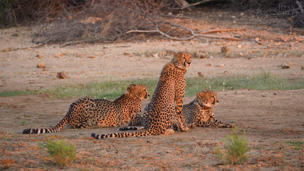 Erindi Private Game Reserve - Best Places to Visit in Namibia