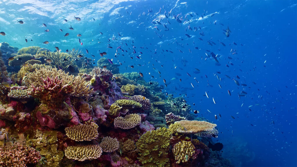 Great Barrier Reef - Australia's Best Destinations