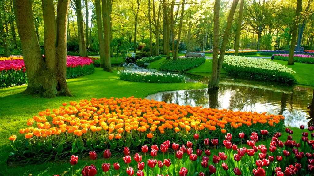 Keukenhof - The Best Places to Visit in The Netherlands