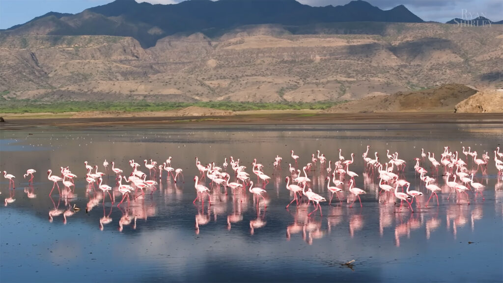 Lake Natron - The Best Things to Do in Tanzania