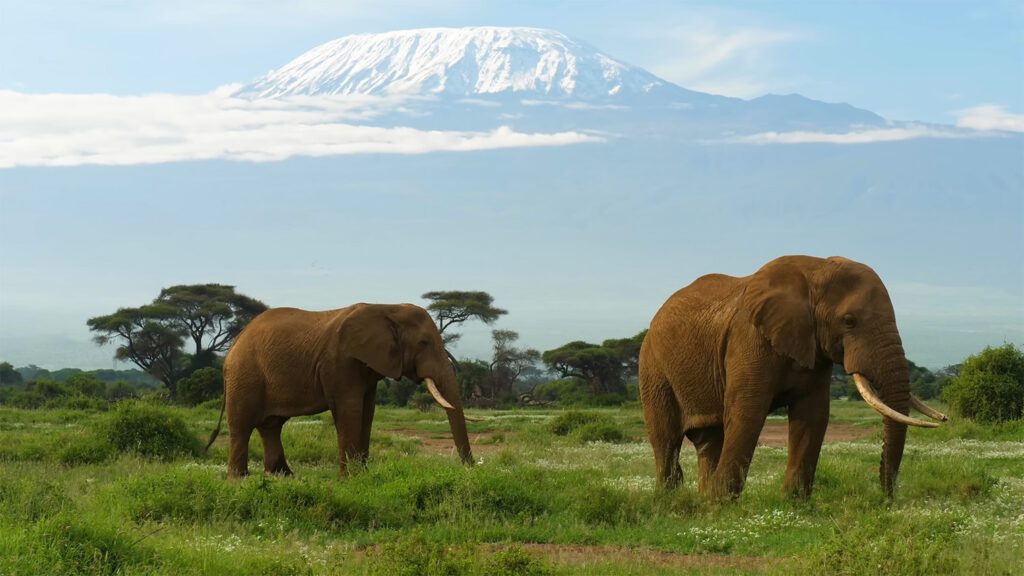 Mount Kilimanjaro - The Best Things to Do in Tanzania